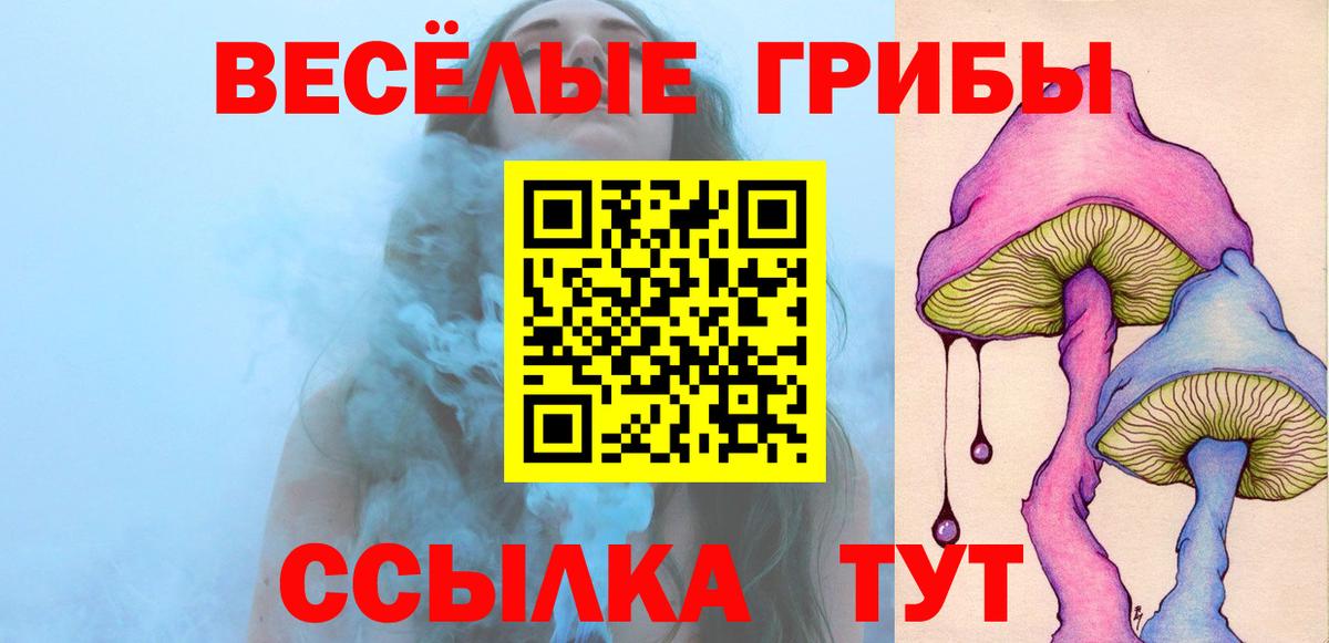 Галлюциногенные грибы прущие грибы  Вход с VPN  Щёлково  Галлюциногенные грибы ЛСД 